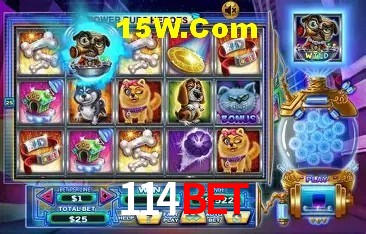 Integração de APIs 114Bet